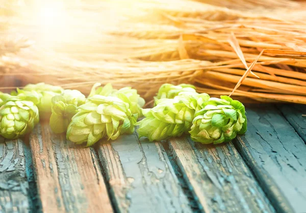 Green Hops Malt Ears Barley Wheat Grain Ingredients Make Beer — Stock Photo, Image