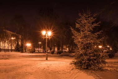 Ladin ve yanan bir fener kışın karla kaplı olduğu gece parkta.