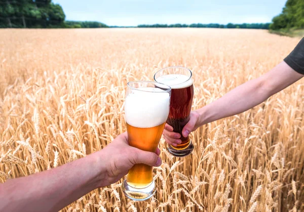 Vaso Cerveza Las Manos Contra Las Espigas Trigo Maduro Campo — Foto de Stock