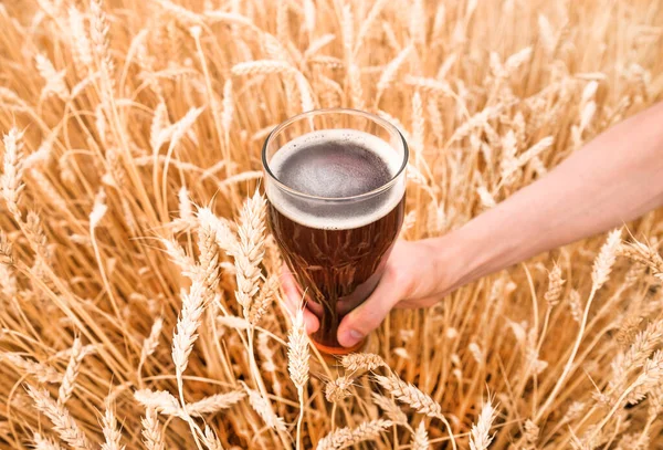 Ett Glas Händerna Mot Öronen Moget Vete Och Vetefält — Stockfoto