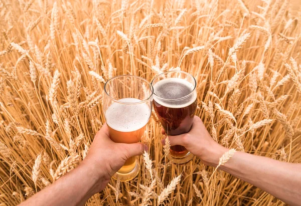 Glass Beer Hands Ears Ripe Wheat Wheat Field — Stock Photo, Image