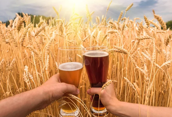 Glass Beer Hands Ears Ripe Wheat Wheat Field — Stock Photo, Image