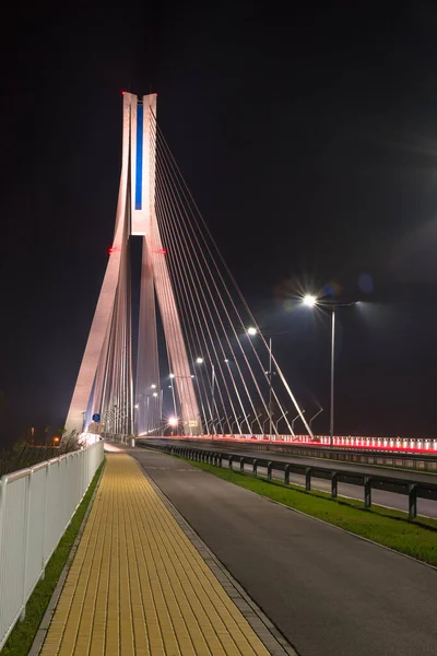 Highway Going Cable Stayed Bridge Big Steel Cables Close Night — Stock Photo, Image