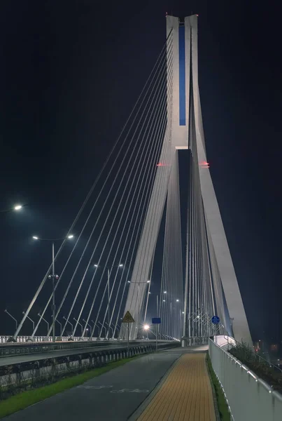 Highway going through a cable-stayed bridge with big steel cables, close-up in the night