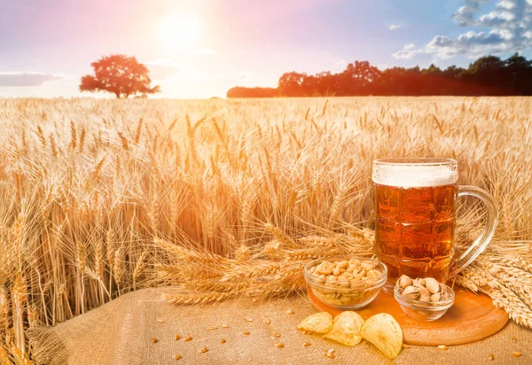 Beer and snacks on the background wheat field. A big glass of beer on the table against wheat field during red summer sunset. Light beer in glass and snacks with a summer landscape on the background.