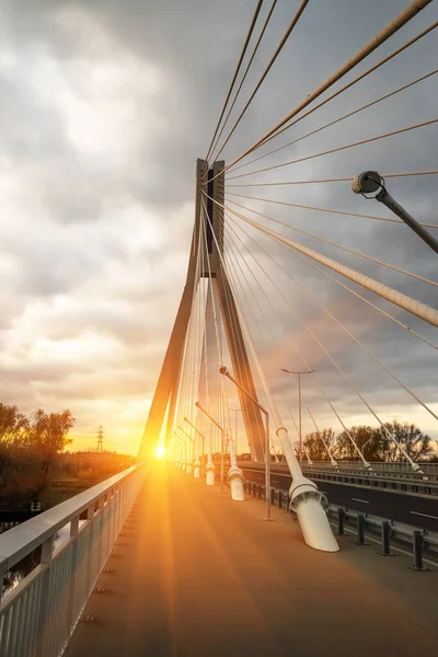 Sidewalk Highway Going Cable Stayed Bridge Big Steel Cables Closeup — Stock Photo, Image