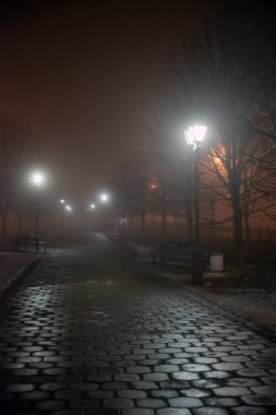 Gece şehir parkında sis var. Buzlar çözülürken sokak lambalarının ışığı altında. Sokak lambası kapanıyor.