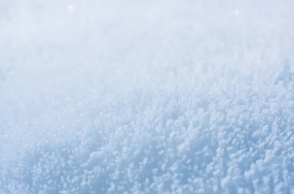 Снегопад Зимнем Парке Зимний Фон — стоковое фото
