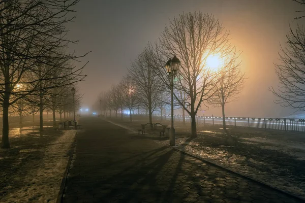 Gece şehir parkında sis var. Buzlar çözülürken sokak lambalarının ışığı altında. Sokak lambası kapanıyor.