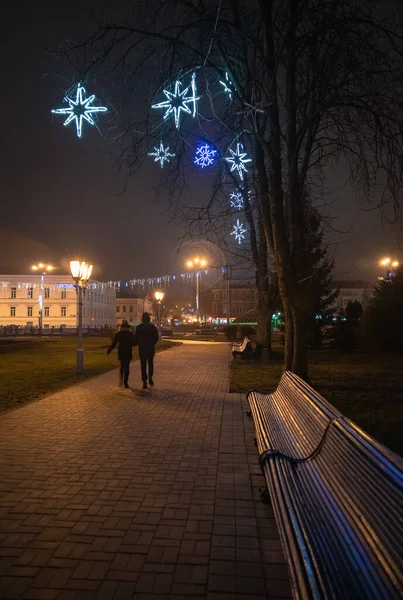 Скамейка Туманном Городском Парке Ночью Свете Уличных Фонарей Природный Зимний — стоковое фото