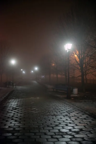 Niebla Parque Ciudad Por Noche Por Luz Las Lámparas Calle — Foto de Stock