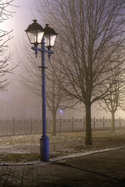 解凍中の街灯の光によって夜市公園内の霧 街灯が閉じます — ストック写真