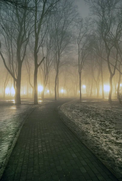 Dimma Stadsparken Natten Ljuset Från Gatlyktor Tiningen — Stockfoto