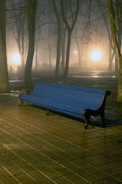 Bench in misty city park at night by the light of street lamps. Natural winter autumn background