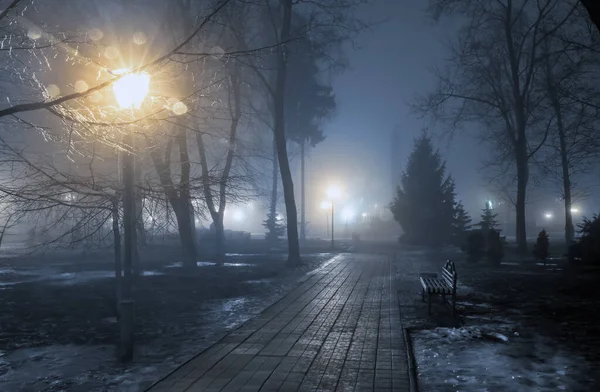 Dimma Stadsparken Natten Ljuset Från Gatlyktor Tiningen — Stockfoto