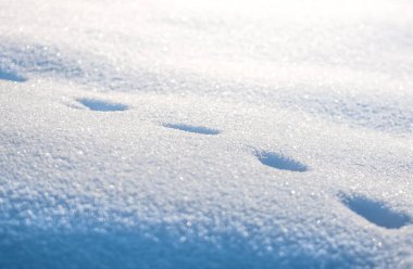 Minimalist tarzda güzel taze kar deseni. Kış dönemi. Dokuyu kapat.