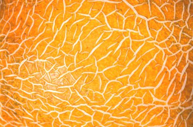 Olgun kavun kabuğu, olgunlaşmış kavun kabuğu, soyut arka plan..