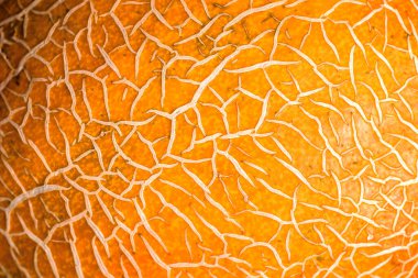 Olgun kavun kabuğu, olgunlaşmış kavun kabuğu, soyut arka plan..