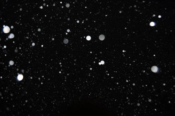 Падає Сніг Чорному Тлі Сніг Крупним Планом — стокове фото
