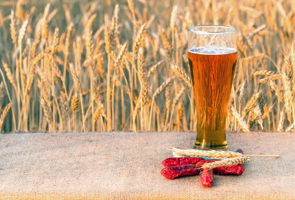 Beer Meat Snack Smoked Sausageand Glass Beer Table Wheat Field — Stock Photo, Image