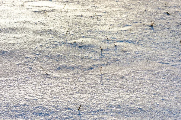 Smukt Frisk Snemønster Minimalistisk Stil Vinterbaggrund Luk Tekstur - Stock-foto