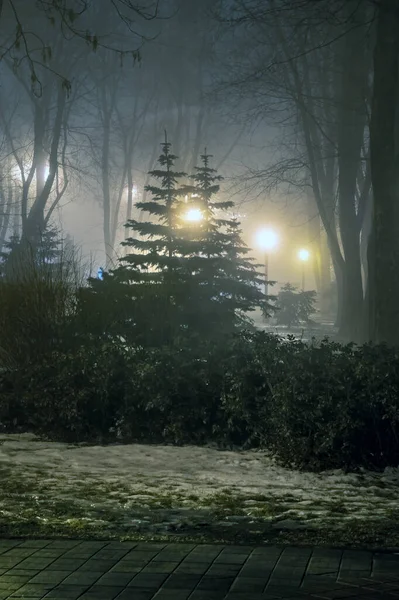 Dimma Stadsparken Natten Ljuset Från Gatlyktor Tiningen — Stockfoto