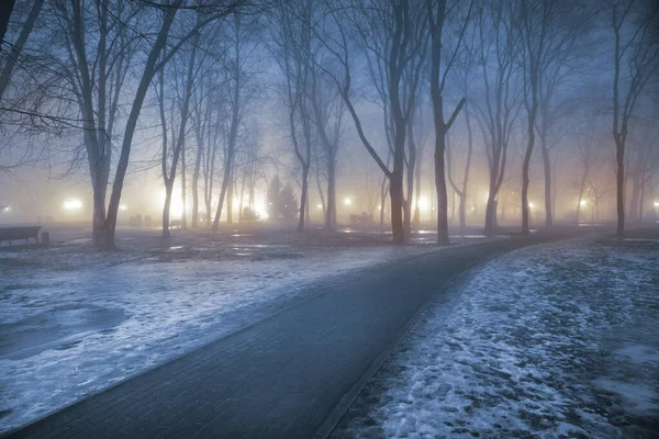 雷鳥の間の街灯の光によって夜の都市公園の霧 — ストック写真