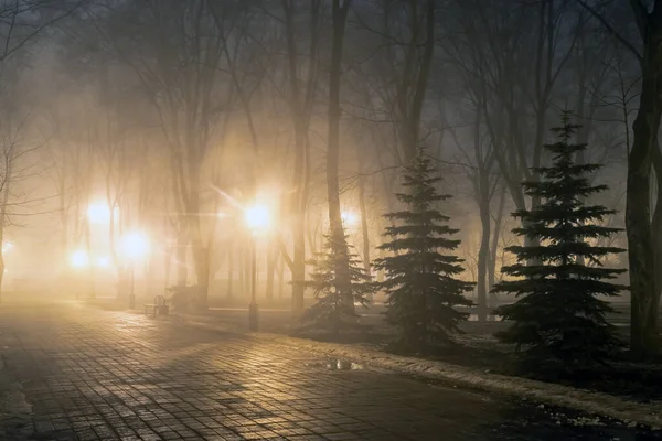 Dimma Stadsparken Natten Ljuset Från Gatlyktor Tiningen — Stockfoto