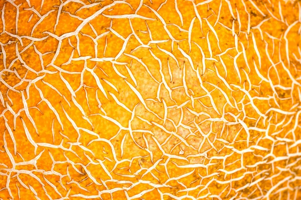 peel of ripe melon, yellow orange peel of ripe melon closeup, abstract background.