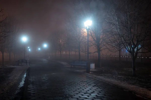 Linternas Árboles Bancos Niebla Por Noche Parque Final Noche Otoño — Foto de Stock