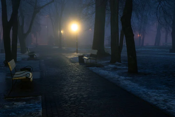 Lyktor Träd Och Bänkar Dimman Natten Parken Sen Höstkväll Parken — Stockfoto