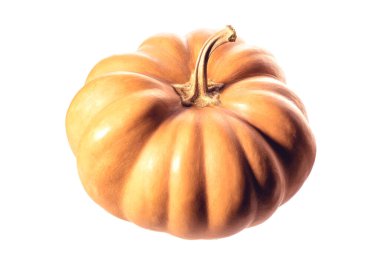 Olgun, taze balkabağı resmi, beyaz arka planda izole edilmiş. Sarı turuncu balkabağı.