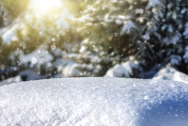Gałązki Jodły Śniegu Boże Narodzenie Nowy Rok Tle Zimowym Karta — Zdjęcie stockowe