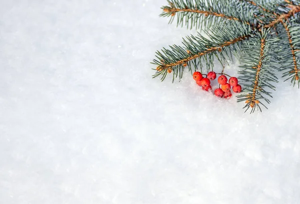 Bayas Rojas Rama Abeto Nieve Feliz Navidad Feliz Año Nuevo — Foto de Stock