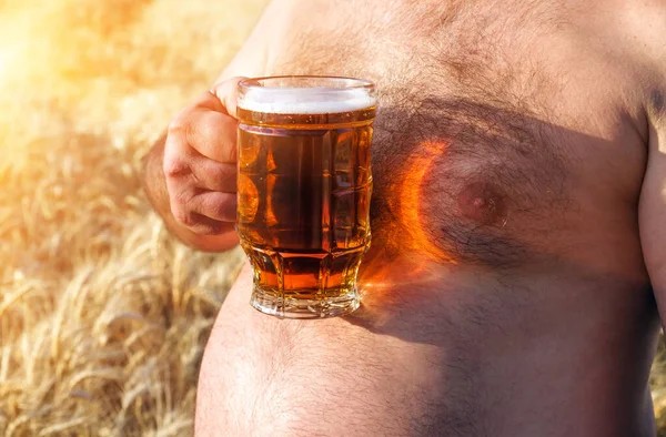 Glass Beer Held Fat Man Background Barley Field Glass Beer — Stock Photo, Image
