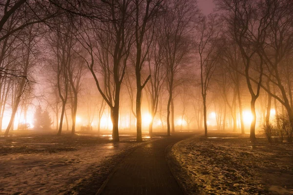 Fog in the city park at night by the light of street lamps during the thaw