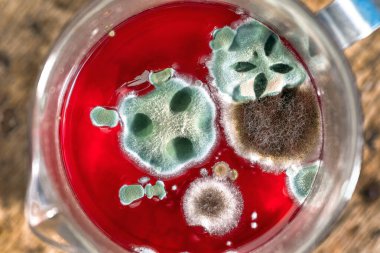 Küf, mantar, kırmızı meyve içeceğinin yüzeyine yakın çekim. Tıbbi geçmiş