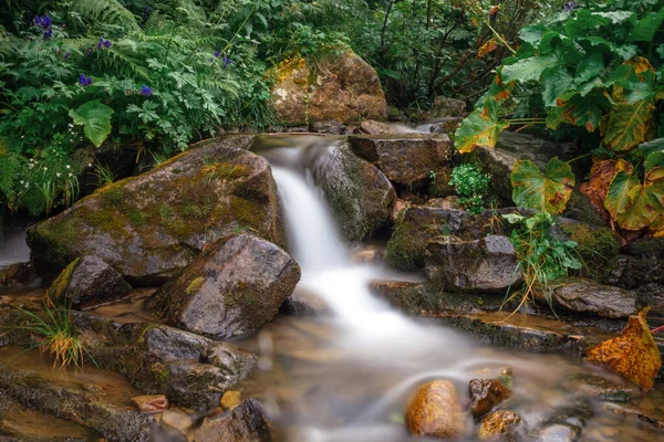 Fluxo Floresta Tropical Alta Montanha Rio Nas Montanhas Cachoeira Florestal — Fotografia de Stock
