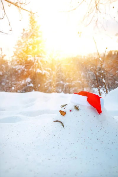 森の中の春を見越して 悲しい雪のドリフト 雪だるまは 暖かい光線が彼に選ばれているように見えています 悲しみの顔の形をした雪男が春に姿を消すのを待っている — ストック写真