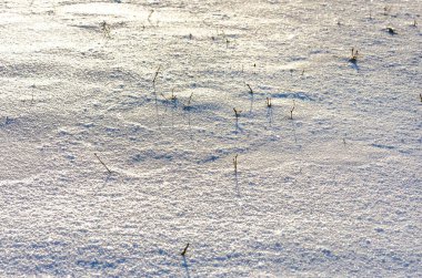 Minimalist tarzda güzel taze kar deseni. Kış dönemi. Dokuyu kapat.