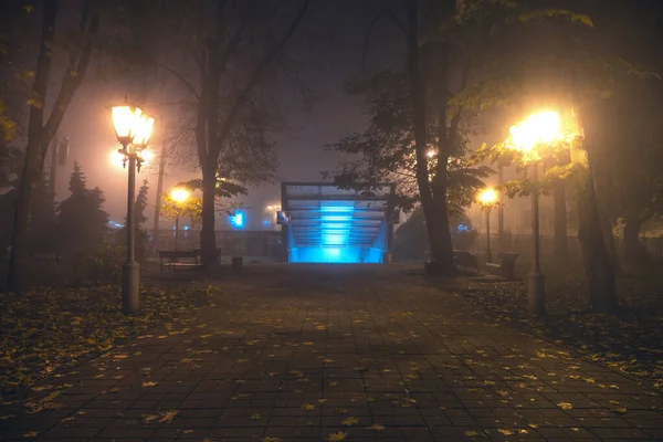 Parque Nocturno Otoño Luces Cuando Llega Niebla Fondo Otoño Foco —  Fotos de Stock