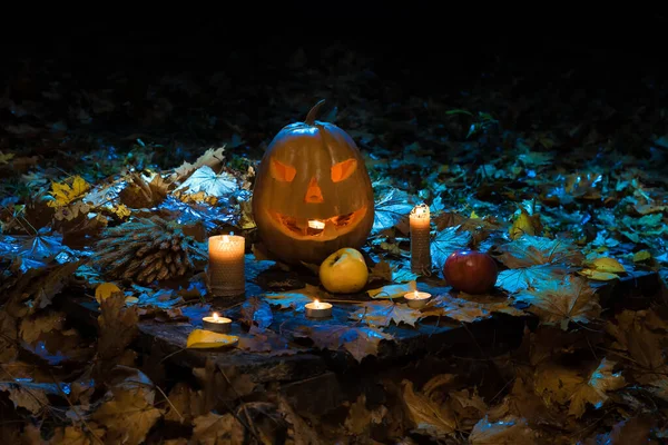 Halloween Pumpa Med Ljus Närbild Mörk Skog Halloween Festlig Bakgrund — Stockfoto