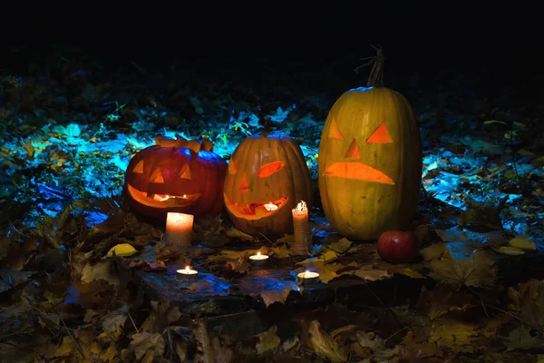 Calabaza Halloween Con Vela Primer Plano Bosque Oscuro Fondo Festivo — Foto de Stock