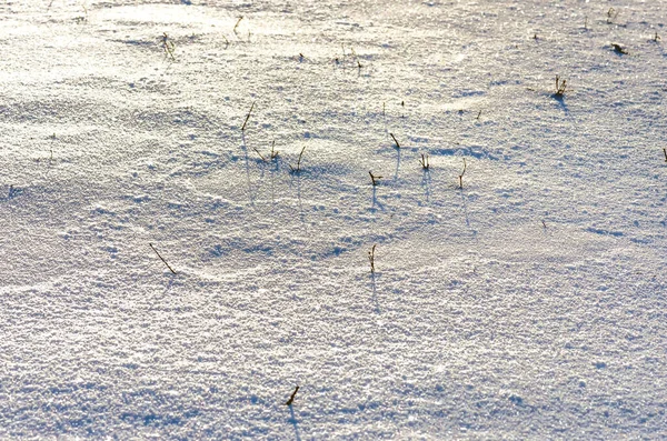 Smukt Frisk Snemønster Minimalistisk Stil Vinterbaggrund Luk Tekstur - Stock-foto
