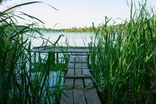 Bir baston Bridge'de güneşli yaz günü Balık tutma