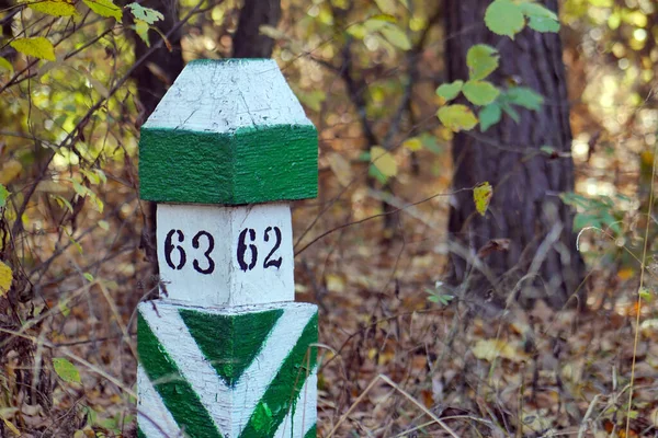 秋の森の中の小さな木の白と緑の境界柱のクローズアップ — ストック写真