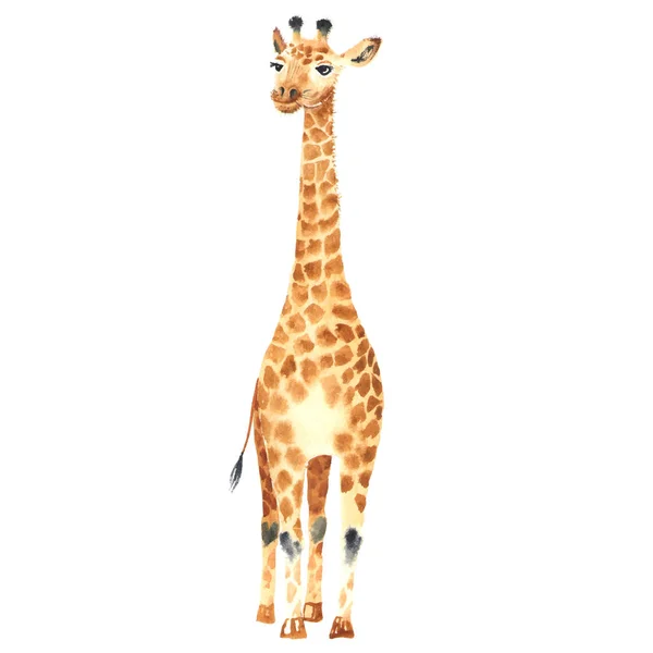 Watercolor baby giraffe — Stock Vector
