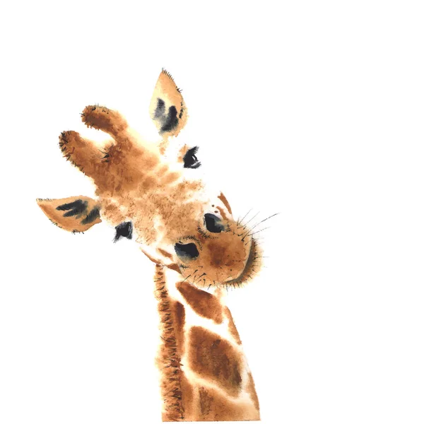 Girafa realista feita em aquarela . — Vetor de Stock