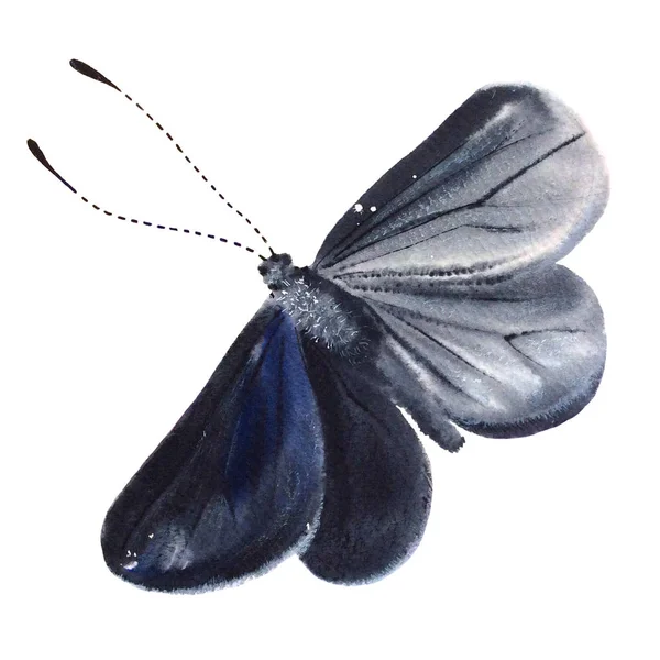 흰색 배경에 고립 된 블랙 수채화 나비. — 스톡 사진