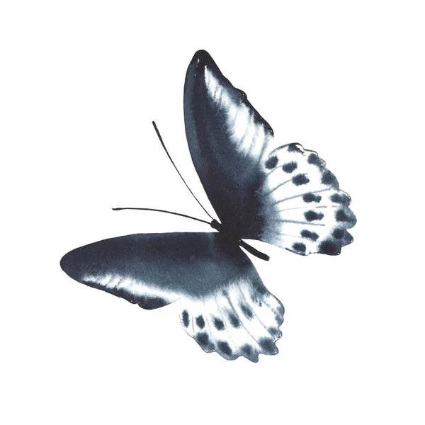 Mariposa de acuarela negra aislada sobre fondo blanco . — Foto de Stock